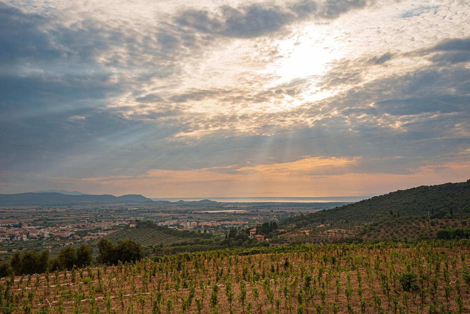 Castello Bonaria Wine & Spa Resort 캄필리아 마리티마 외부 사진
